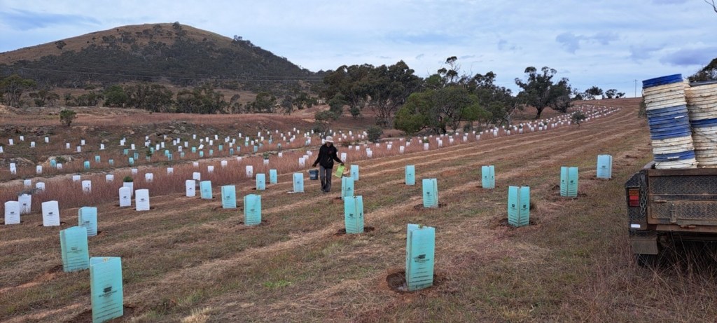 Final fieldwork trips with reserve managers and conservation&nbsp;volunteers